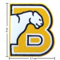 Birmingham Southern Panthers Style-1 Embroidered Iron On Patch
