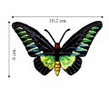 Butterfly Style-32 Embroidered Iron On Patch