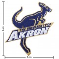 Akron Zips Style-1 Embroidered Iron On Patch