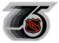 NHL National Hockey League Style-4 Embroidered Iron On Patch